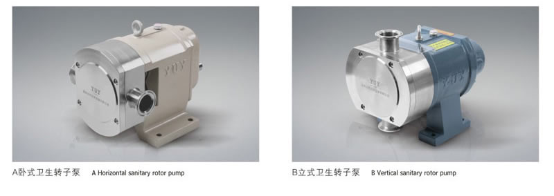 轉(zhuǎn)子泵+防爆裝置