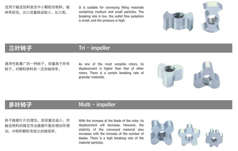 轉(zhuǎn)子泵+防爆裝置